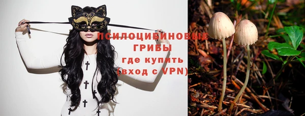 винт Гусь-Хрустальный