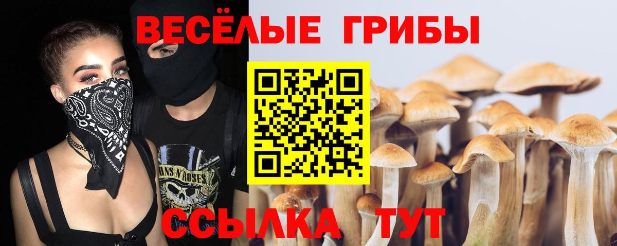 Галлюциногенные грибы Psilocybe Нерюнгри